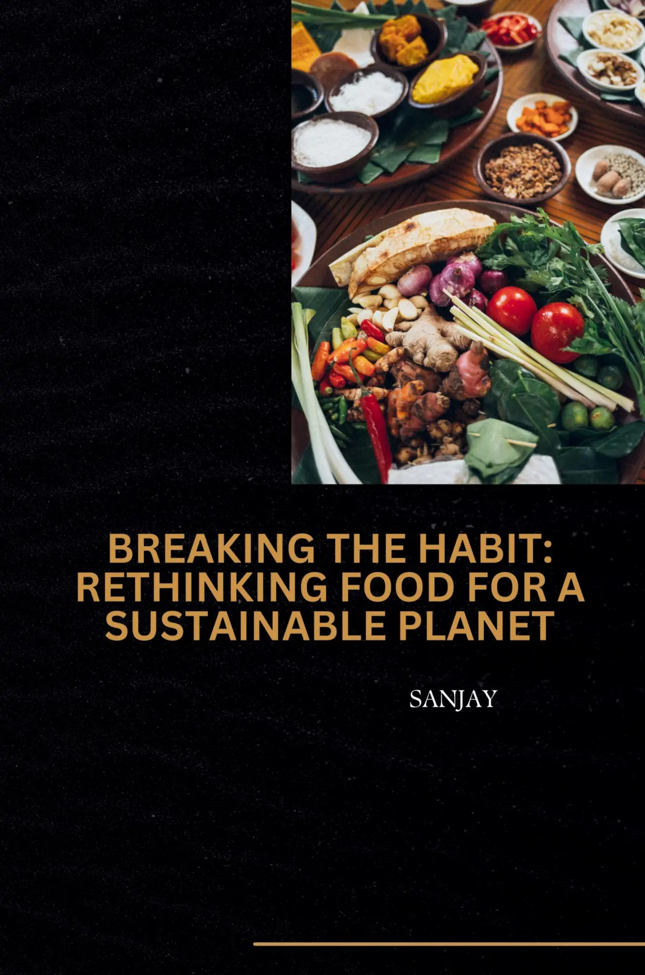 Breaking the Habit Rethinking Food for a Sustainable Planet - Sanjay Kartoniert (TB)