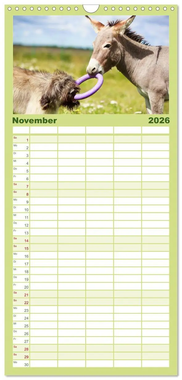 Bild: 9783516512205 | Familienplaner 2026 - Das Esel-Paradies - Hunde und andere Feunde...