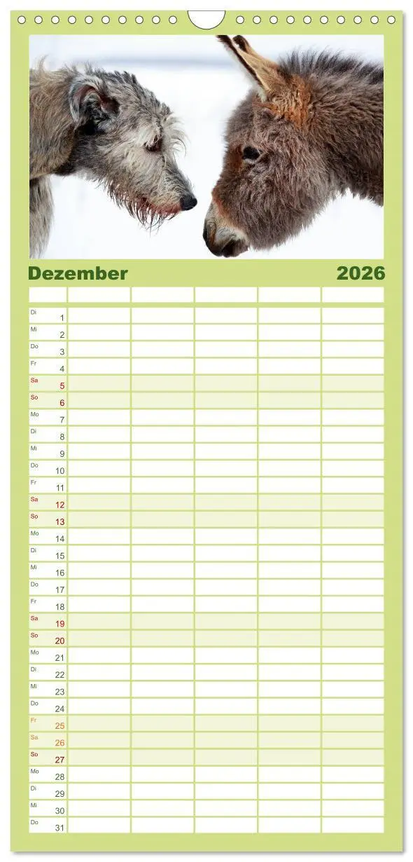 Bild: 9783516512205 | Familienplaner 2026 - Das Esel-Paradies - Hunde und andere Feunde...