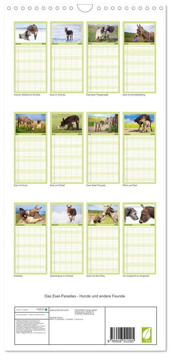 Bild: 9783516512205 | Familienplaner 2026 - Das Esel-Paradies - Hunde und andere Feunde...