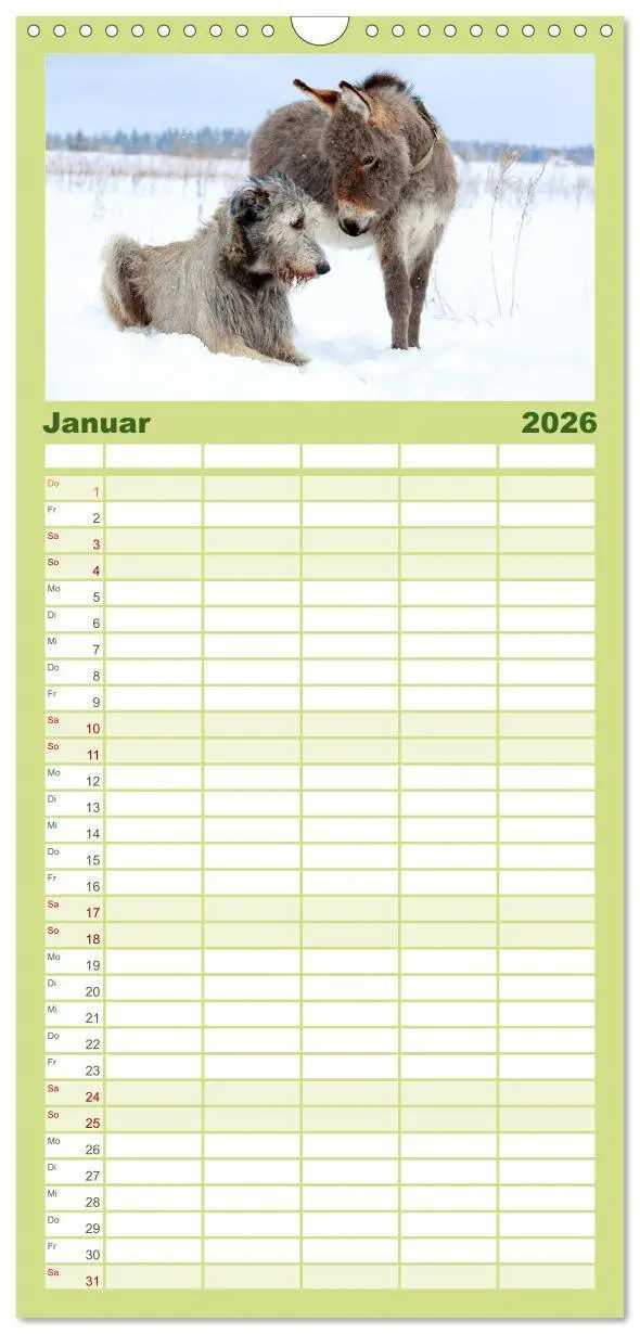 Bild: 9783516512205 | Familienplaner 2026 - Das Esel-Paradies - Hunde und andere Feunde...