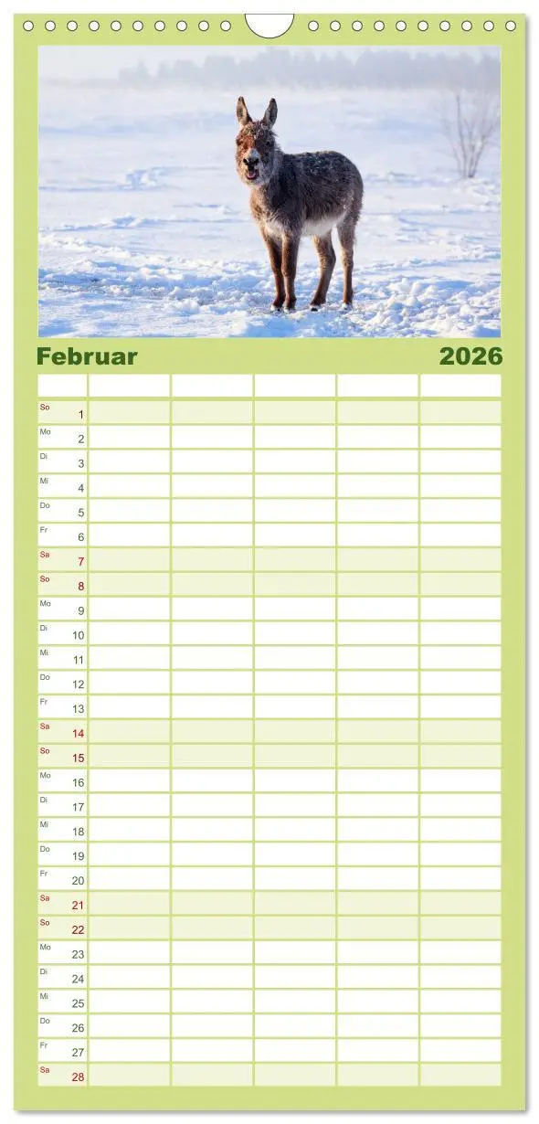 Bild: 9783516512205 | Familienplaner 2026 - Das Esel-Paradies - Hunde und andere Feunde...