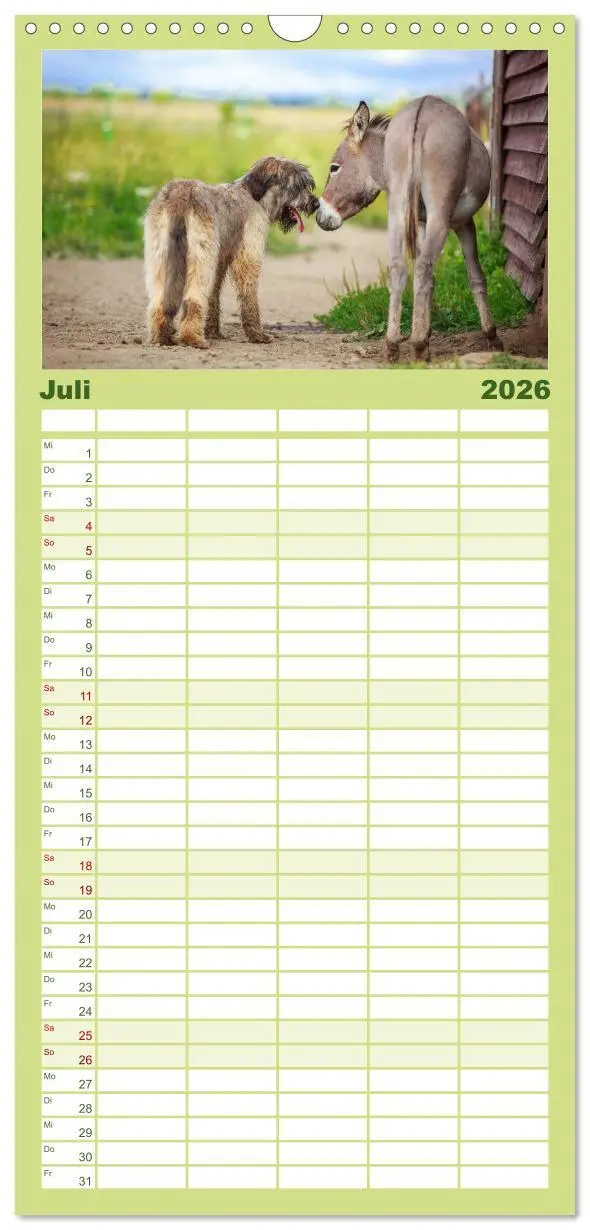 Bild: 9783516512205 | Familienplaner 2026 - Das Esel-Paradies - Hunde und andere Feunde...