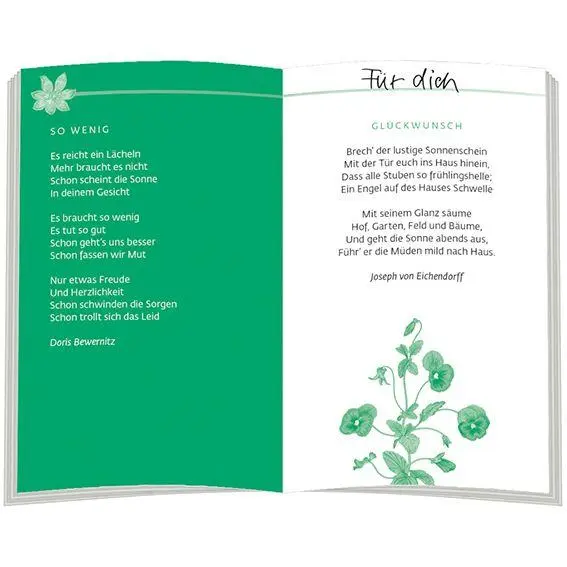 Bild: 9783987002205 | Der kleine Seelentröster | Taschenbuch | Eschbacher Mini Präsent