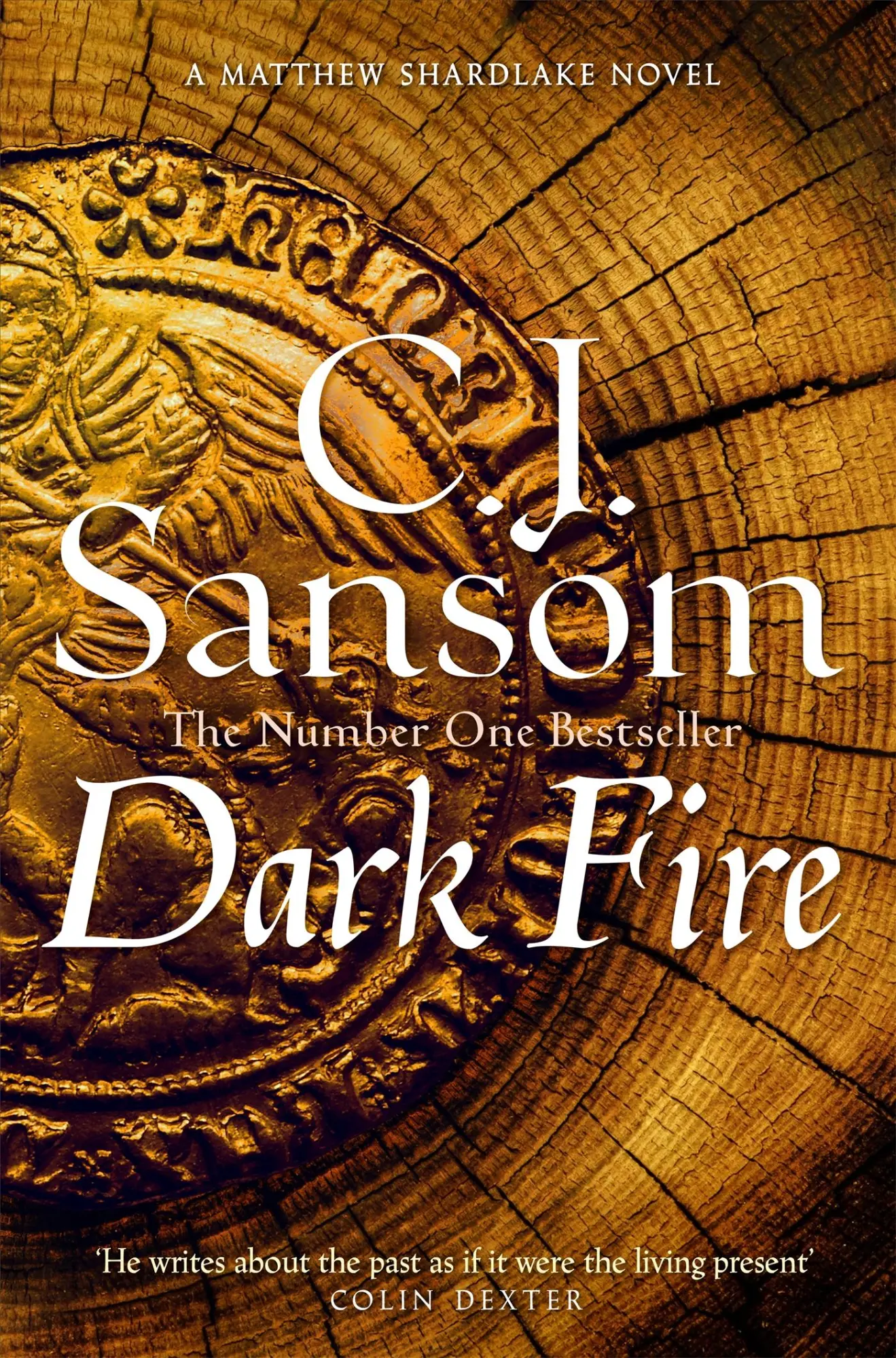 Cover: 9781035012305 | Dark Fire | C. J. Sansom | Taschenbuch | The Shardlake Series | 2024