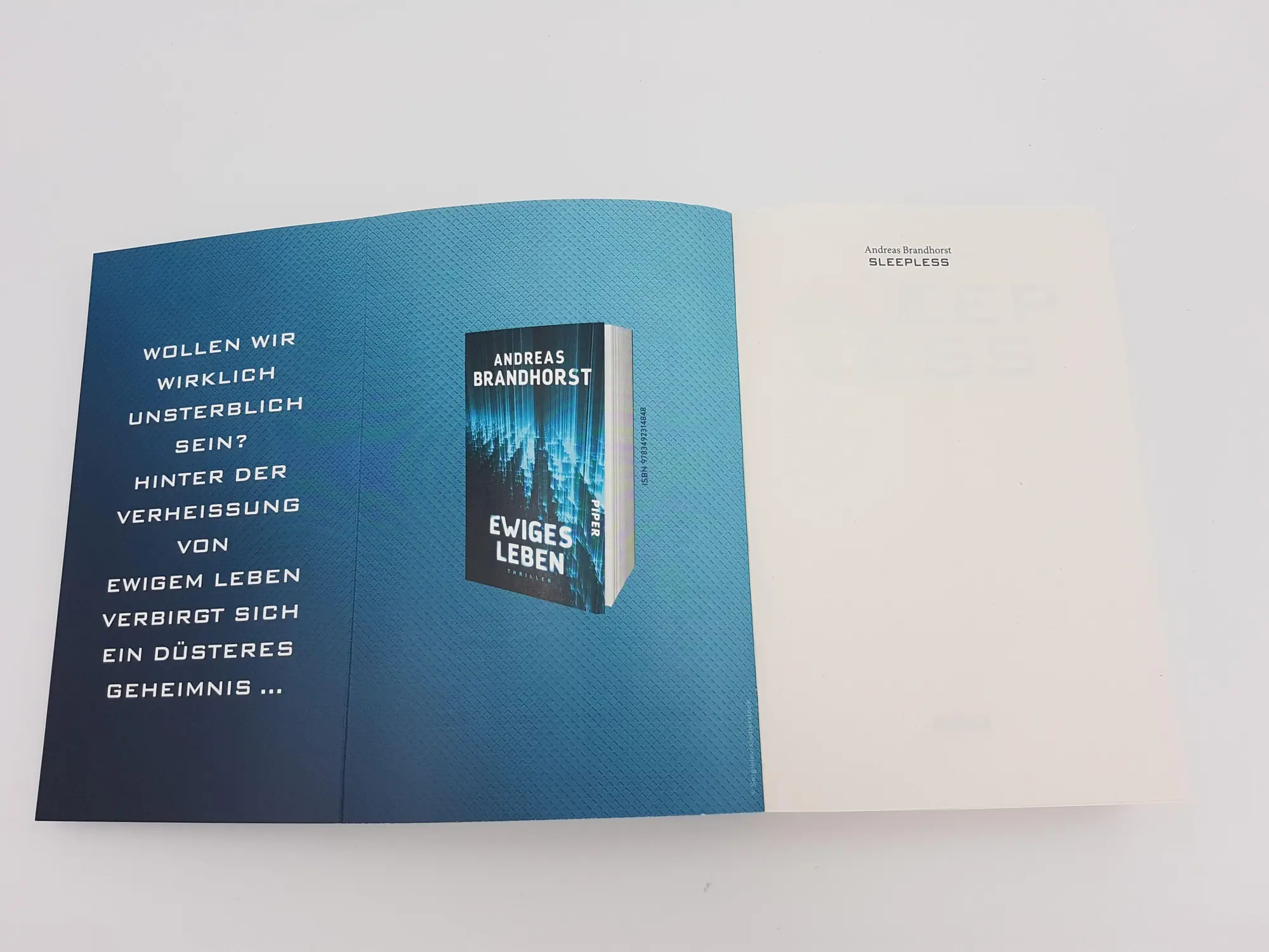 Bild: 9783492062305 | Sleepless | Thriller | Andreas Brandhorst | Taschenbuch | 720 S.