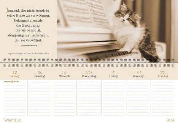 Bild: 9783819302305 | Der literarische Katzenplaner Tischquerkalender 2027 | Korsch Verlag