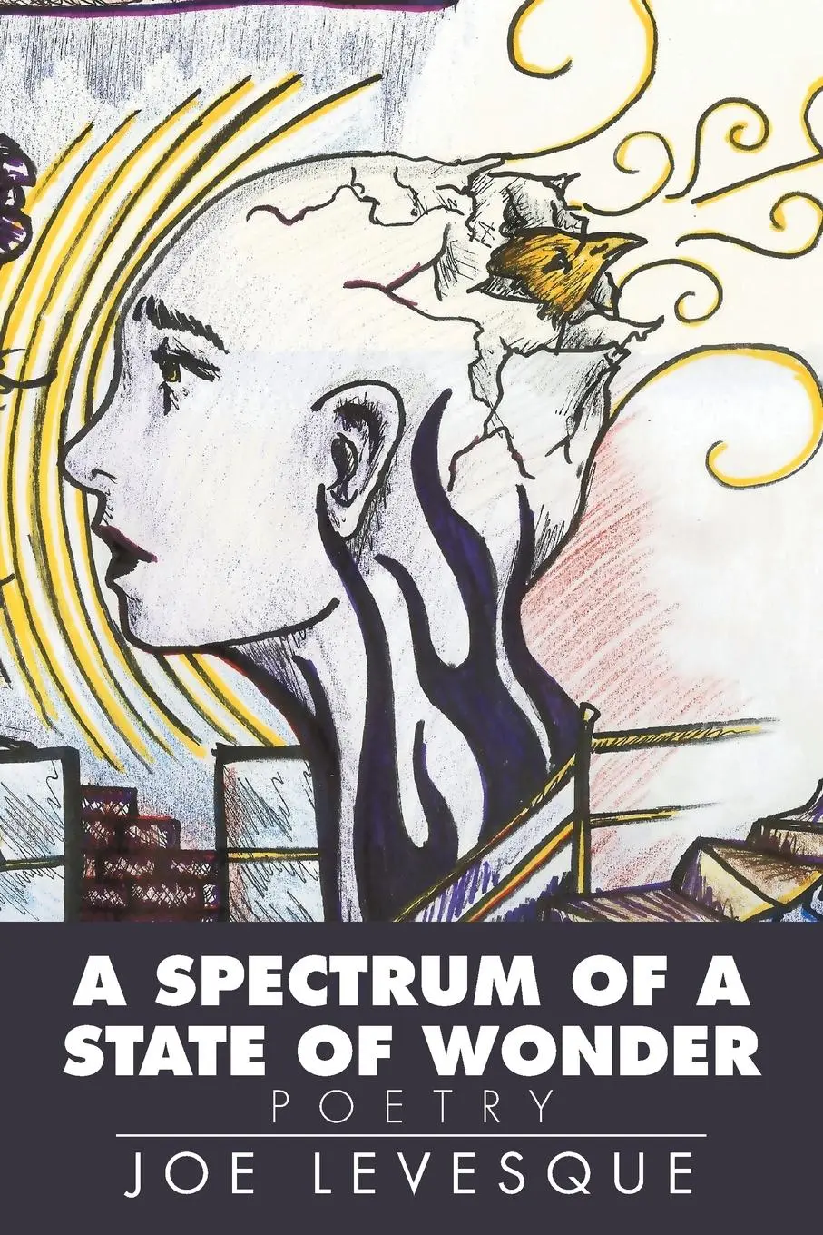 Cover: 9781499042405 | A Spectrum of a State of Wonder | Poetry | Joe Levesque | Taschenbuch