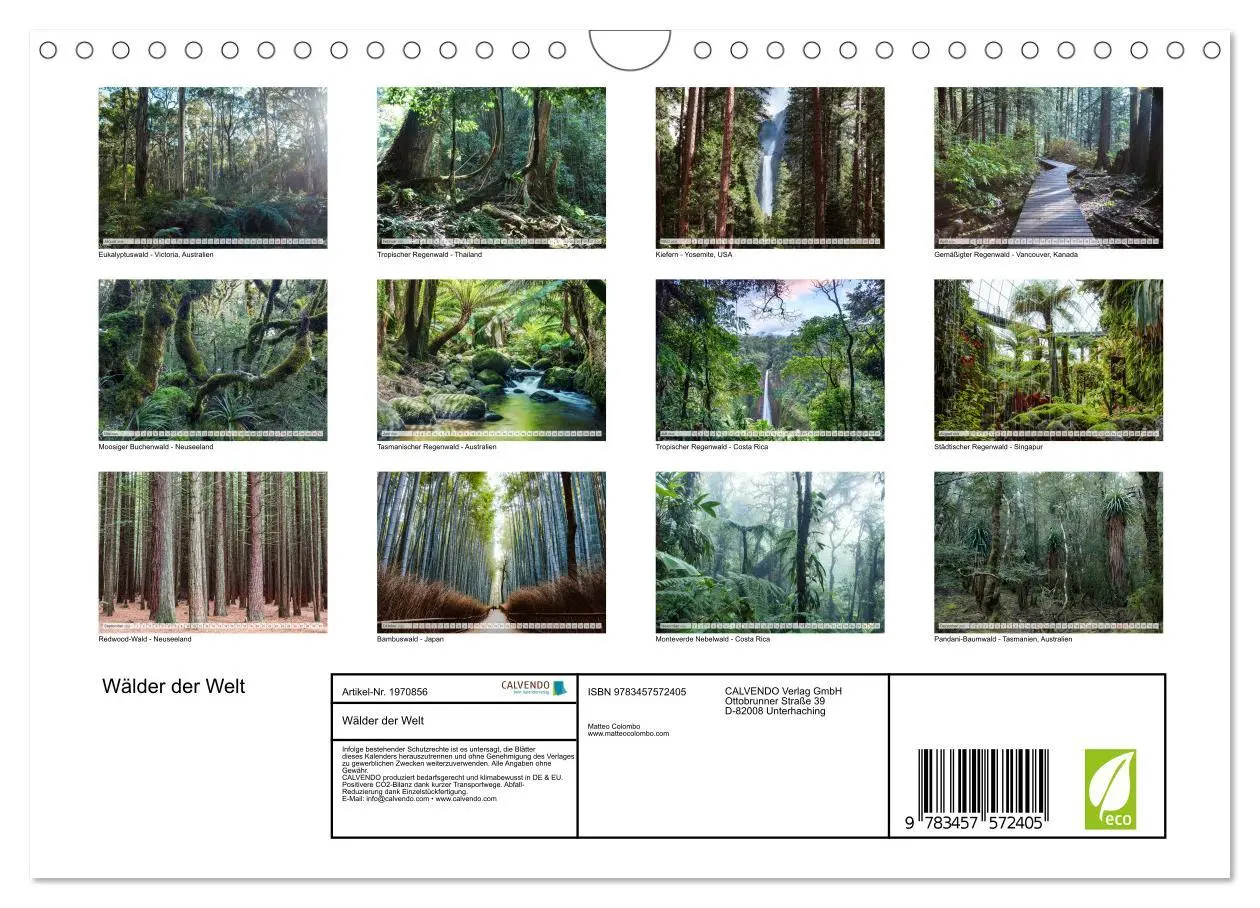 Bild: 9783457572405 | Wälder der Welt (Wandkalender 2026 DIN A4 quer), CALVENDO...