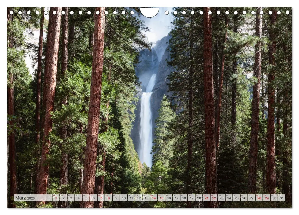 Bild: 9783457572405 | Wälder der Welt (Wandkalender 2026 DIN A4 quer), CALVENDO...
