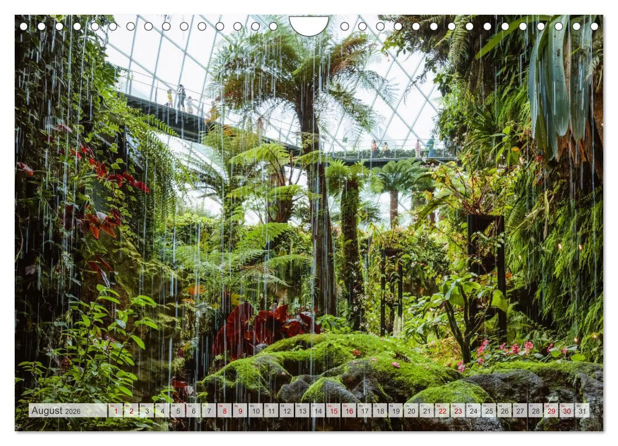 Bild: 9783457572405 | Wälder der Welt (Wandkalender 2026 DIN A4 quer), CALVENDO...
