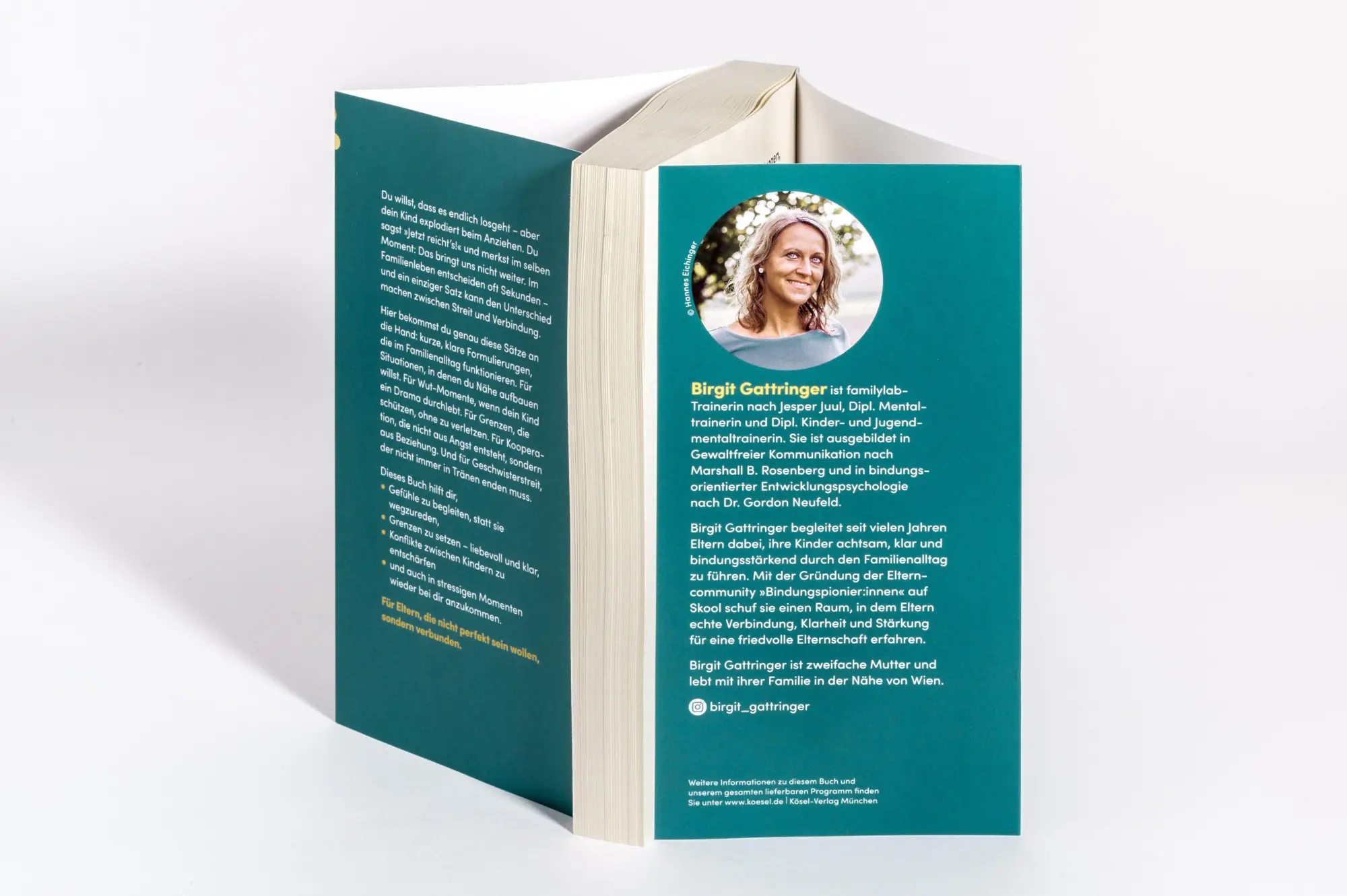 Bild: 9783466312405 | 50 Sätze, die es Eltern leichter machen | Birgit Gattringer | Buch