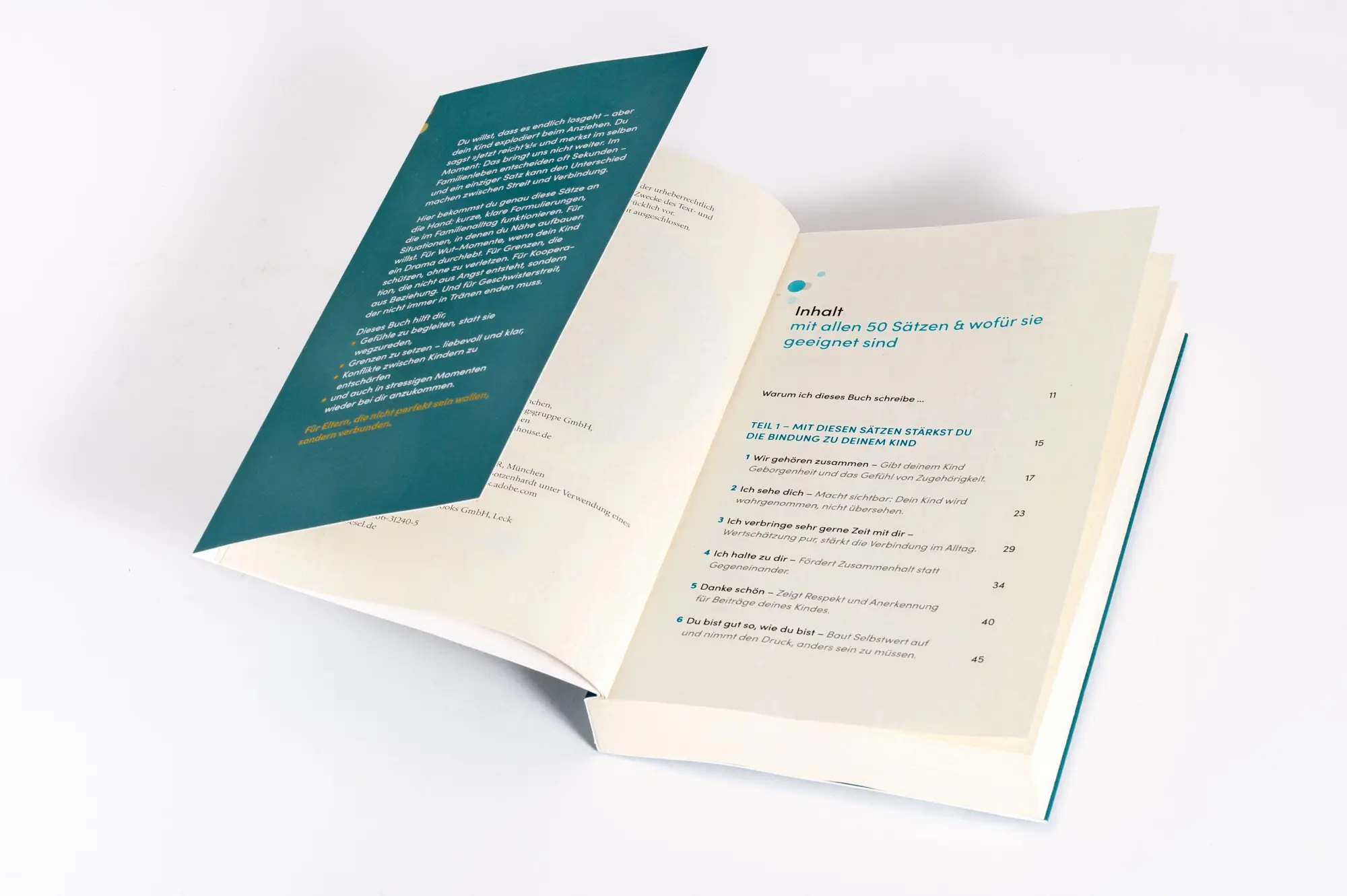 Bild: 9783466312405 | 50 Sätze, die es Eltern leichter machen | Birgit Gattringer | Buch