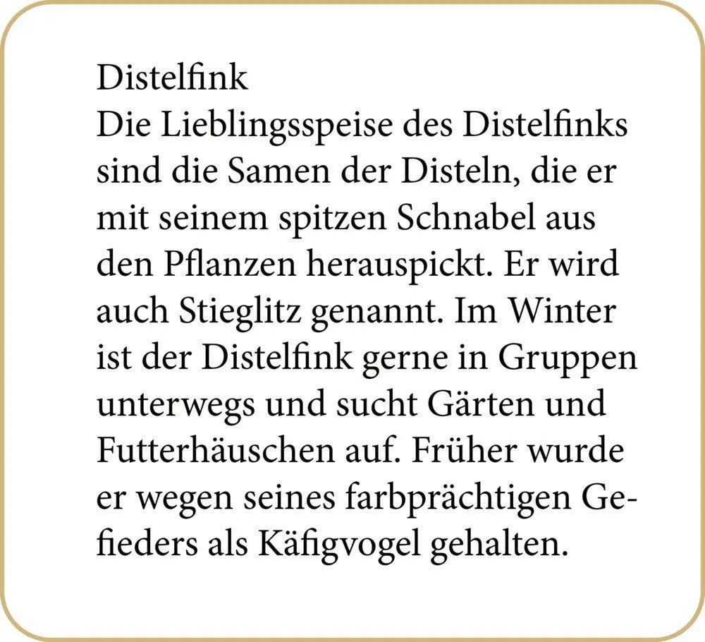 Bild: 4050003952505 | Sound-Adventskalender - Unsere Vögel im Winter | Christine Henkel