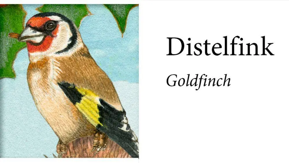 Bild: 4050003952505 | Sound-Adventskalender - Unsere Vögel im Winter | Christine Henkel