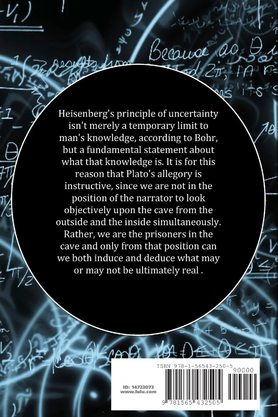 Rückseite: 9781565432505 | Quantum Weirdness | Einstein vs. Bohr | Andrea Diem-Lane | Taschenbuch