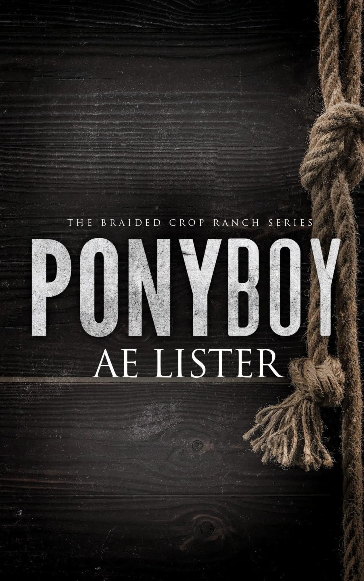 Cover: 9781648902505 | Ponyboy | A E Lister | Taschenbuch | Kartoniert / Broschiert | 2021