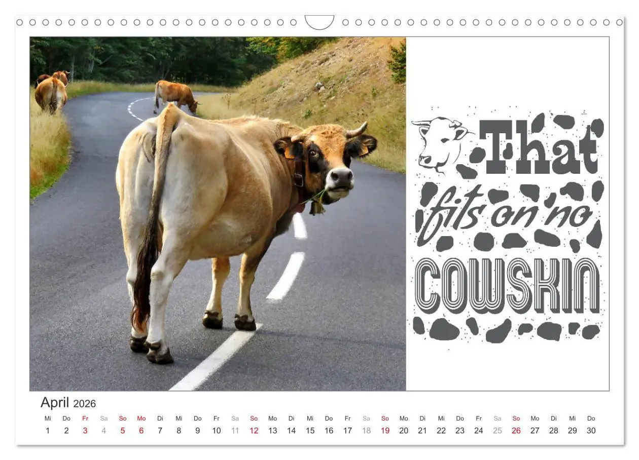 Bild: 9783457702505 | Tierisch Denglisch (Wandkalender 2026 DIN A3 quer), CALVENDO...