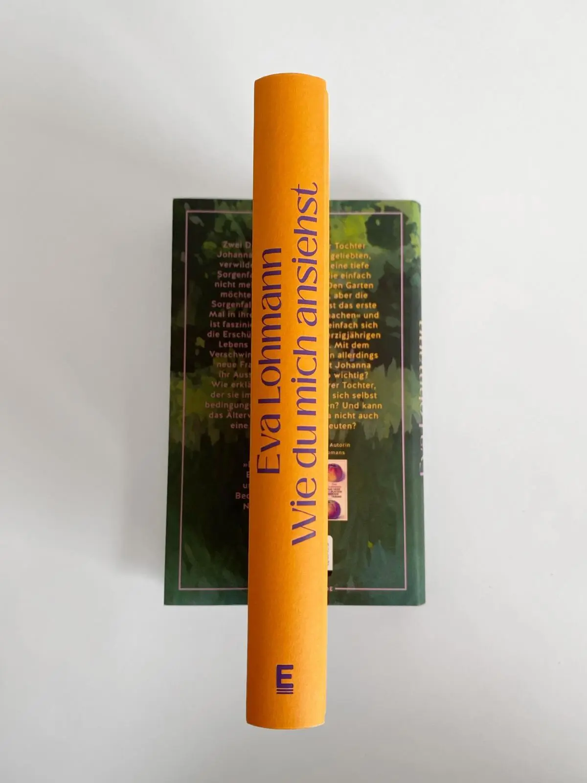 Bild: 9783961612505 | Wie du mich ansiehst | Roman | Eva Lohmann | Buch | 240 S. | Deutsch