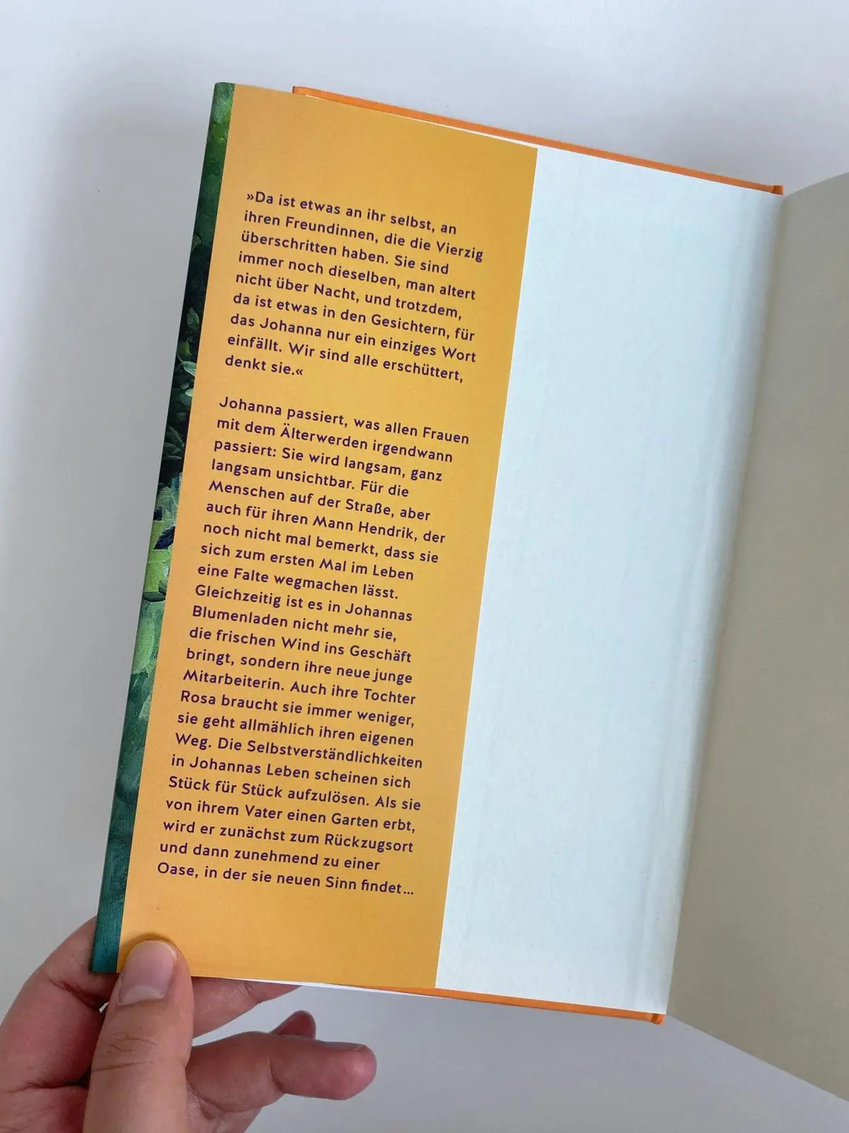 Bild: 9783961612505 | Wie du mich ansiehst | Roman | Eva Lohmann | Buch | 240 S. | Deutsch