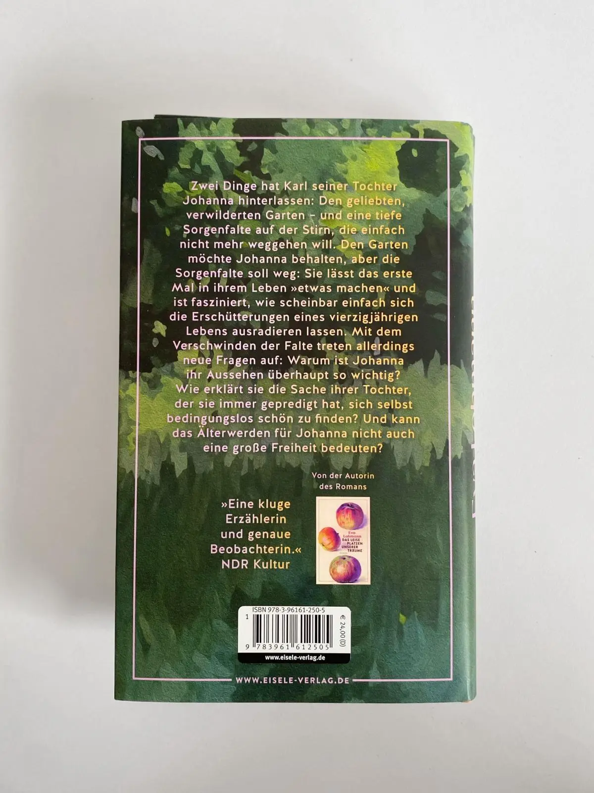 Bild: 9783961612505 | Wie du mich ansiehst | Roman | Eva Lohmann | Buch | 240 S. | Deutsch