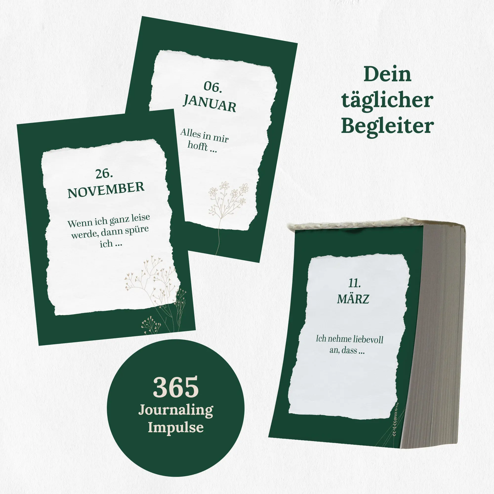 Bild: 9783986602505 | 365 Momente für deine Seele | Johanna Kramer | Kalender | 366 S.