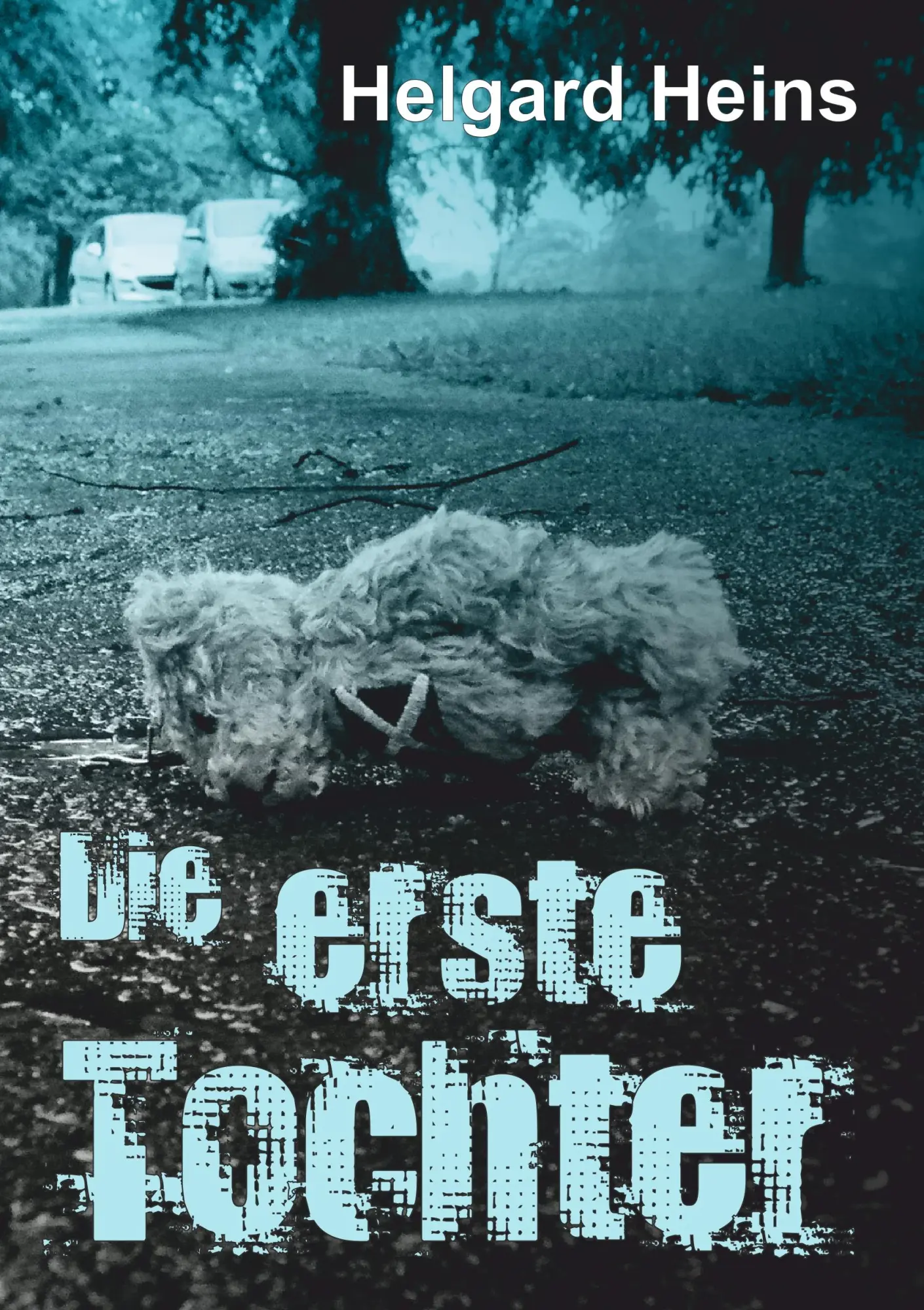 Cover: 9783347042605 | Die erste Tochter | Helgard Heins | Taschenbuch | 256 S. | Deutsch