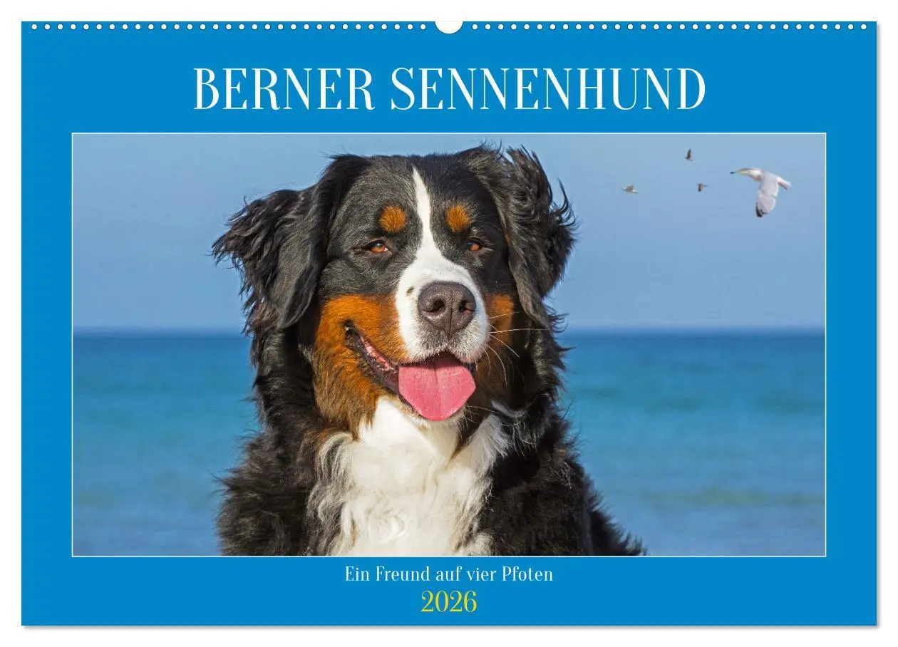 Cover: 9783457482605 | Berner Sennenhund - Ein Freund auf vier Pfoten (Wandkalender 2026...