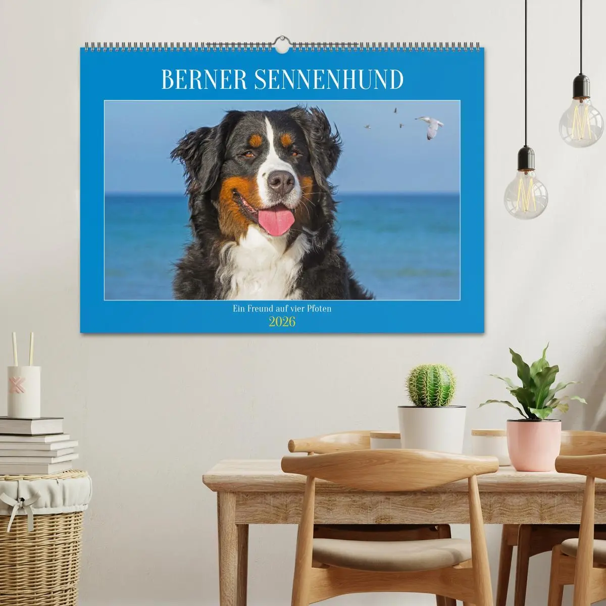 Bild: 9783457482605 | Berner Sennenhund - Ein Freund auf vier Pfoten (Wandkalender 2026...