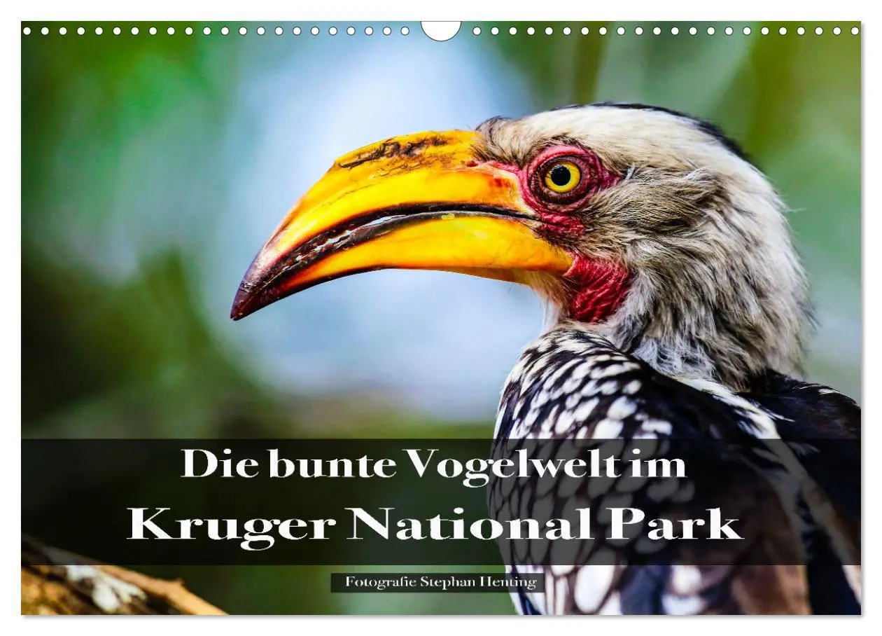 Cover: 9783457622605 | Die bunte Vogelwelt im Kruger National Park (Wandkalender 2026 DIN...