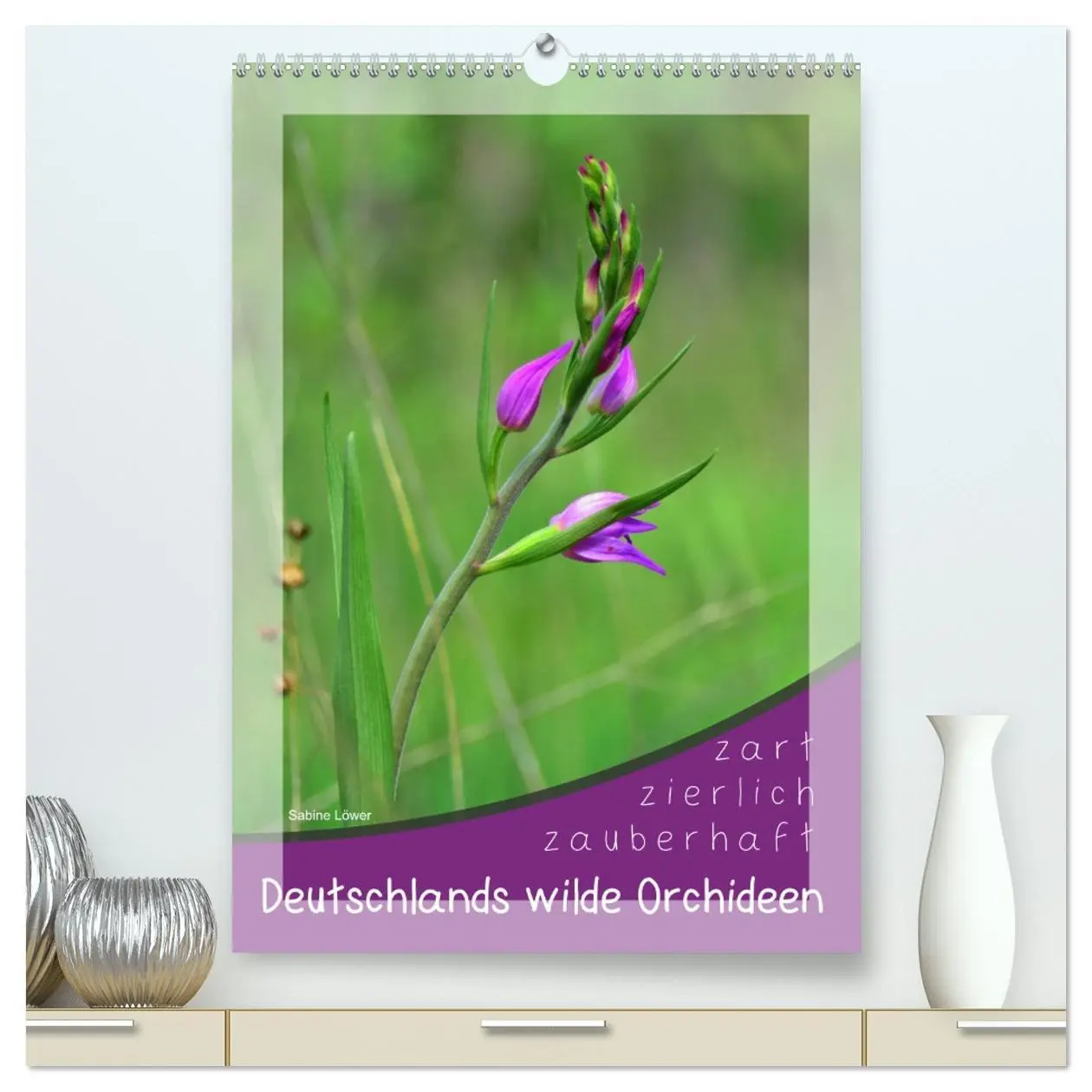 Cover: 9783516402605 | Deutschlands wilde Orchideen (hochwertiger Premium Wandkalender...