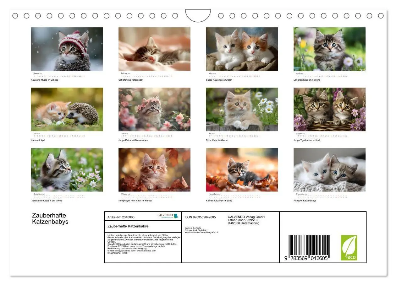 Bild: 9783569042605 | Zauberhafte Katzenbabys (Wandkalender 2027 DIN A4 quer), CALVENDO...