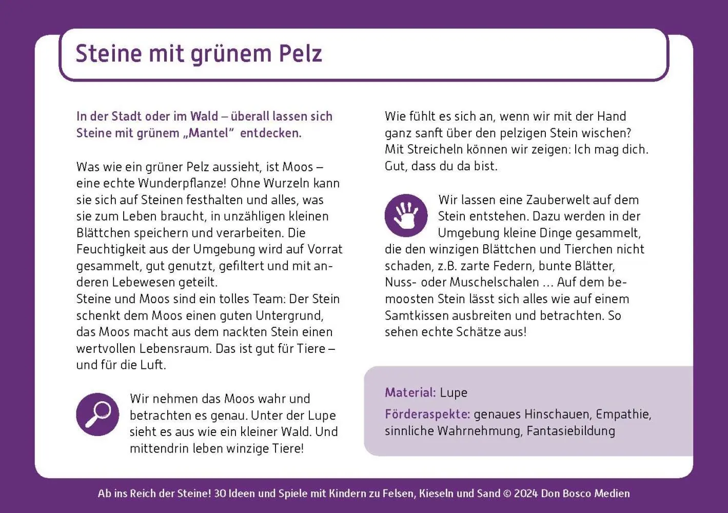 Bild: 4260694922705 | Ab ins Reich der Steine! | Susanne Brandt | Box | 32 S. | Deutsch