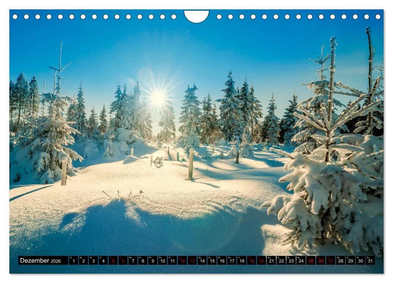 Bild: 9783457832905 | Vogtland - unsere Heimat (Wandkalender 2026 DIN A4 quer), CALVENDO...