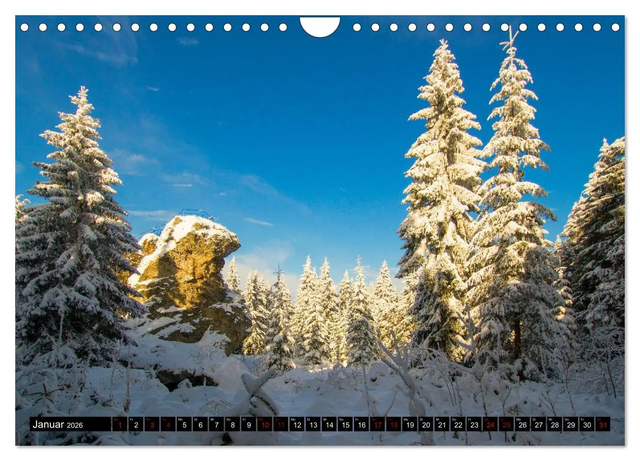 Bild: 9783457832905 | Vogtland - unsere Heimat (Wandkalender 2026 DIN A4 quer), CALVENDO...