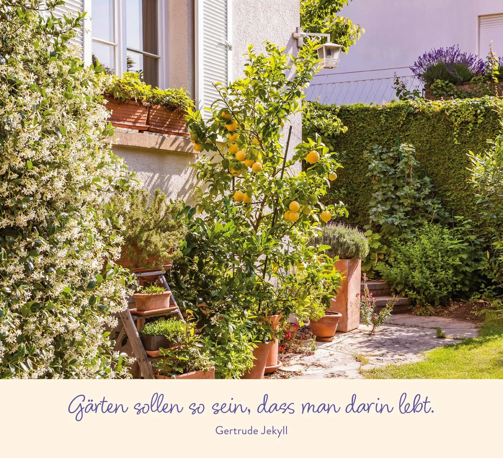 Bild: 9783848502905 | Zauberhaftes Gartenglück | Groh Verlag | Taschenbuch | 144 S. | 2025