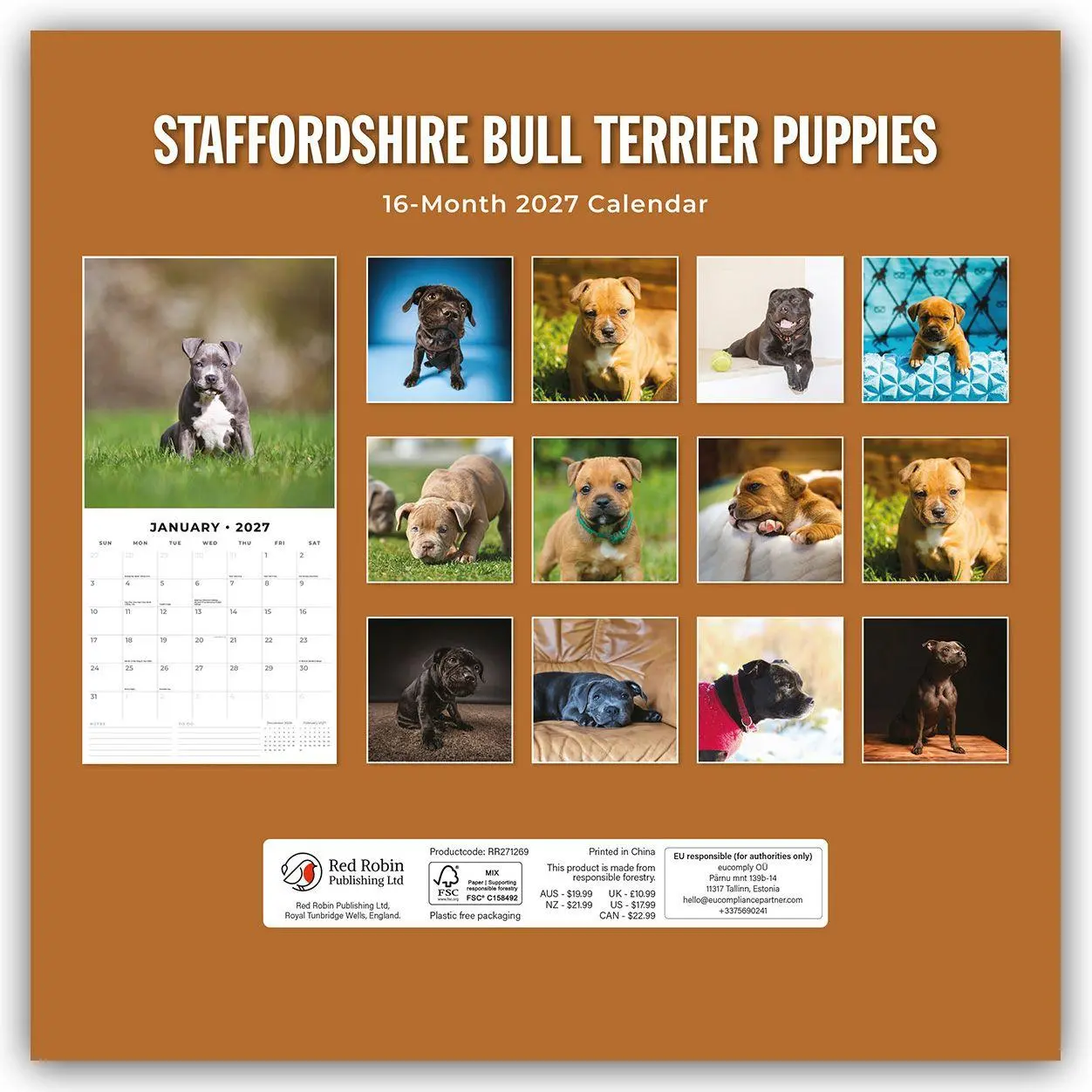 Rückseite: 9781837013005 | Staffordshire Bull Terrier Puppies - Staffordshire Bullterrier...