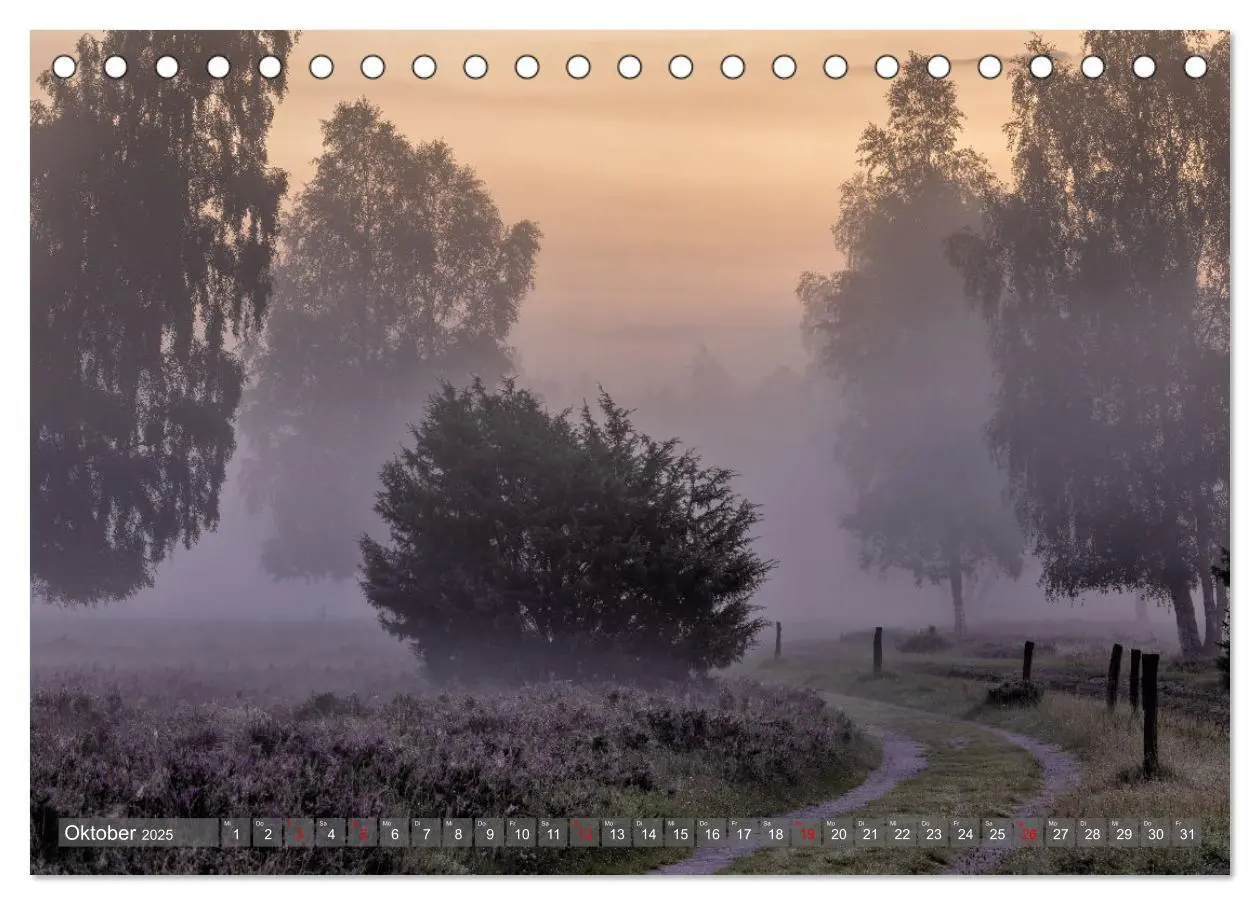 Bild: 9783383853005 | Die Lüneburger Heide - In voller Blüte (Tischkalender 2025 DIN A5...