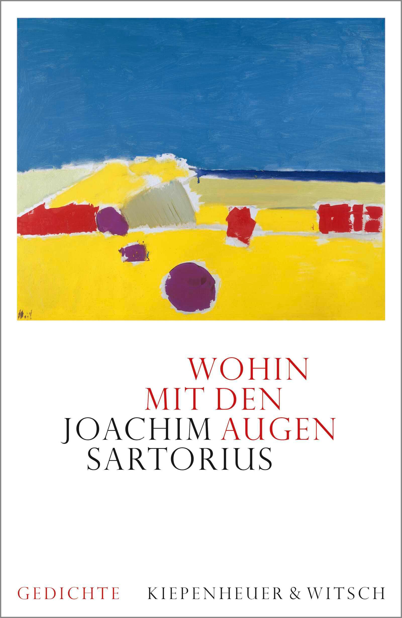 Cover: 9783462053005 | Wohin mit den Augen | Gedichte | Joachim Sartorius | Buch | 78 S.