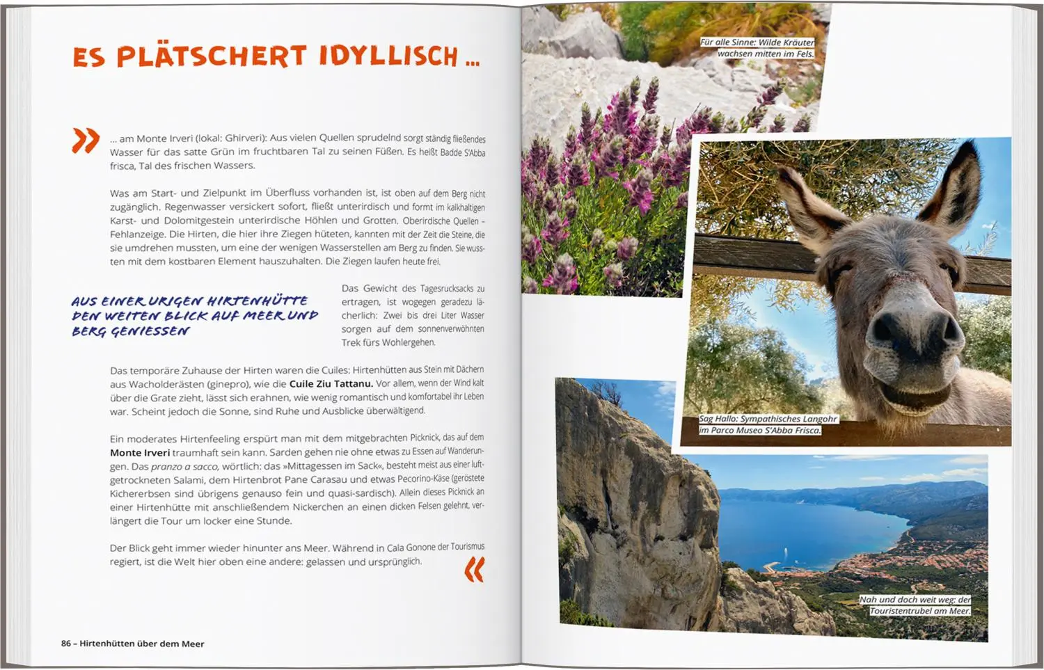 Bild: 9783616033105 | DUMONT Wanderzeit auf Sardinien | Nicole Raukamp | Taschenbuch | 2025