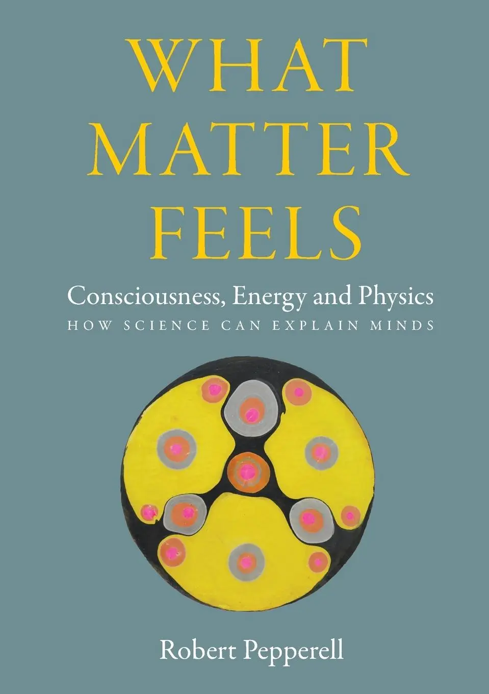 Cover: 9781068523205 | What Matter Feels | Robert Pepperell | Taschenbuch | Englisch | 2024