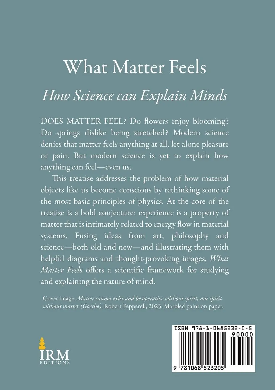 Rückseite: 9781068523205 | What Matter Feels | Robert Pepperell | Taschenbuch | Englisch | 2024