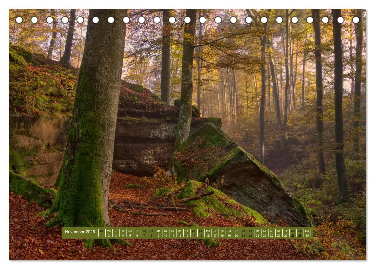 Bild: 9783457563205 | Magischer Pfälzer Wald (Tischkalender 2026 DIN A5 quer), CALVENDO...