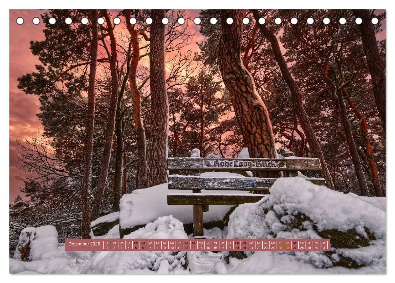 Bild: 9783457563205 | Magischer Pfälzer Wald (Tischkalender 2026 DIN A5 quer), CALVENDO...