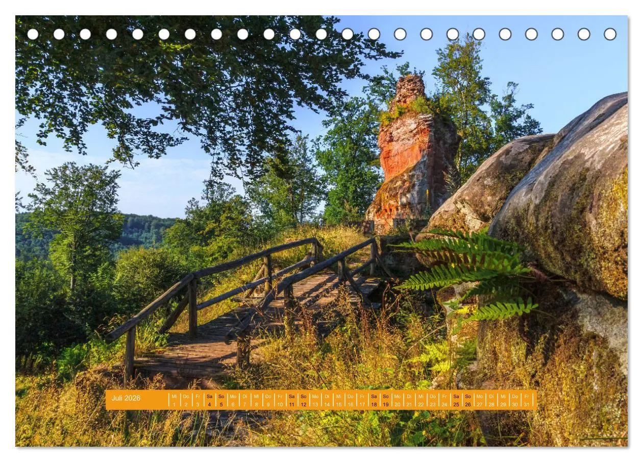Bild: 9783457563205 | Magischer Pfälzer Wald (Tischkalender 2026 DIN A5 quer), CALVENDO...