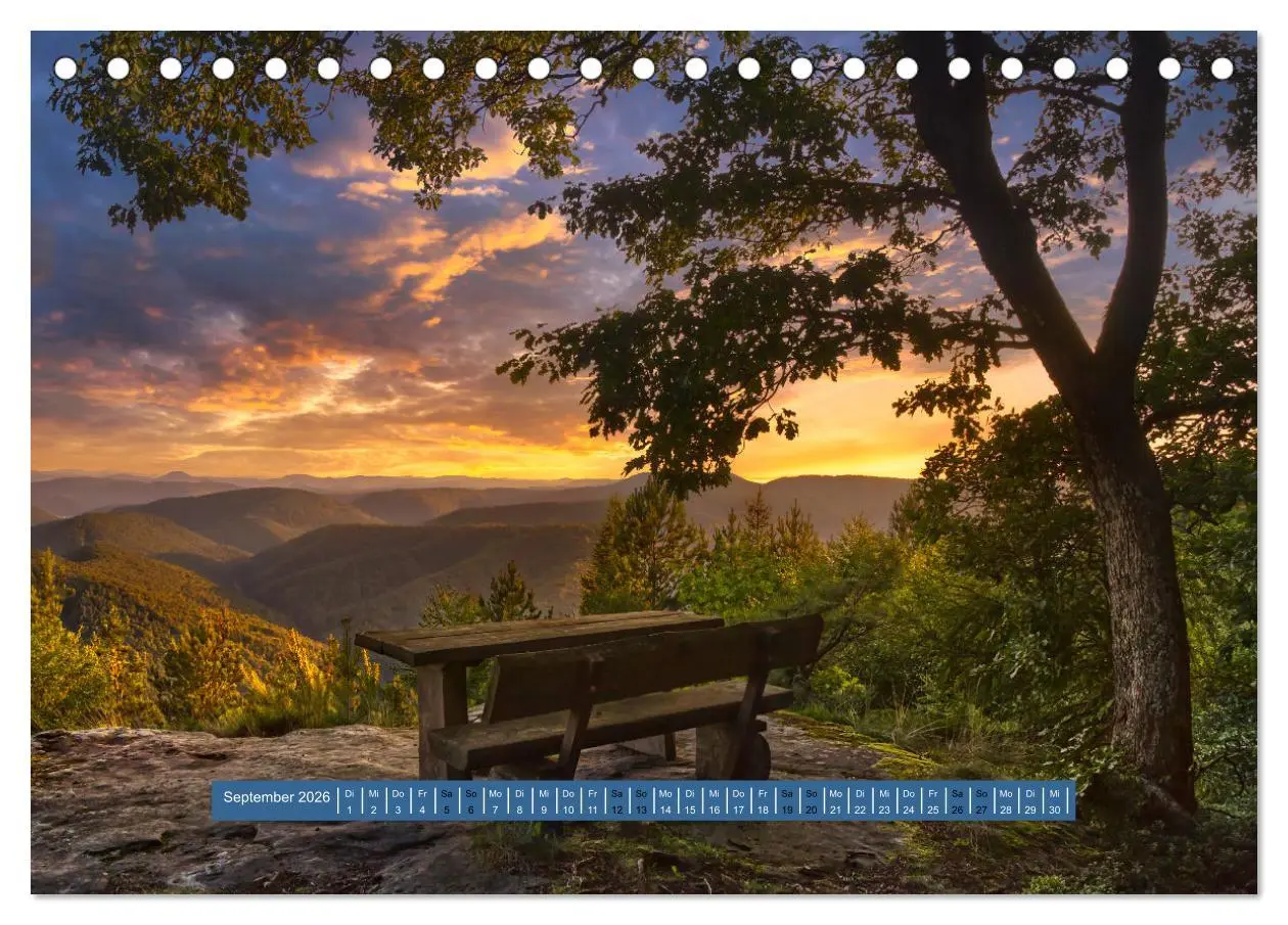 Bild: 9783457563205 | Magischer Pfälzer Wald (Tischkalender 2026 DIN A5 quer), CALVENDO...