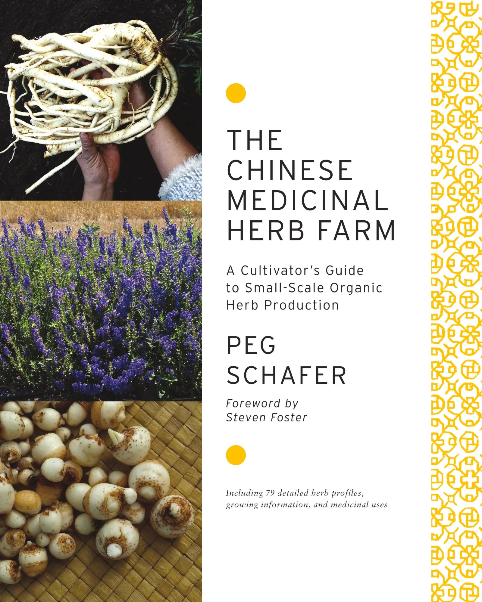 Cover: 9781603583305 | The Chinese Medicinal Herb Farm | Peg Schafer | Taschenbuch | Englisch