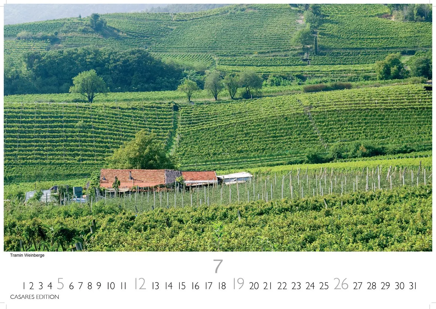 Bild: 9781835243305 | Südtirol 2026 L 35x50cm | Kalender | 14 S. | Deutsch | 2026