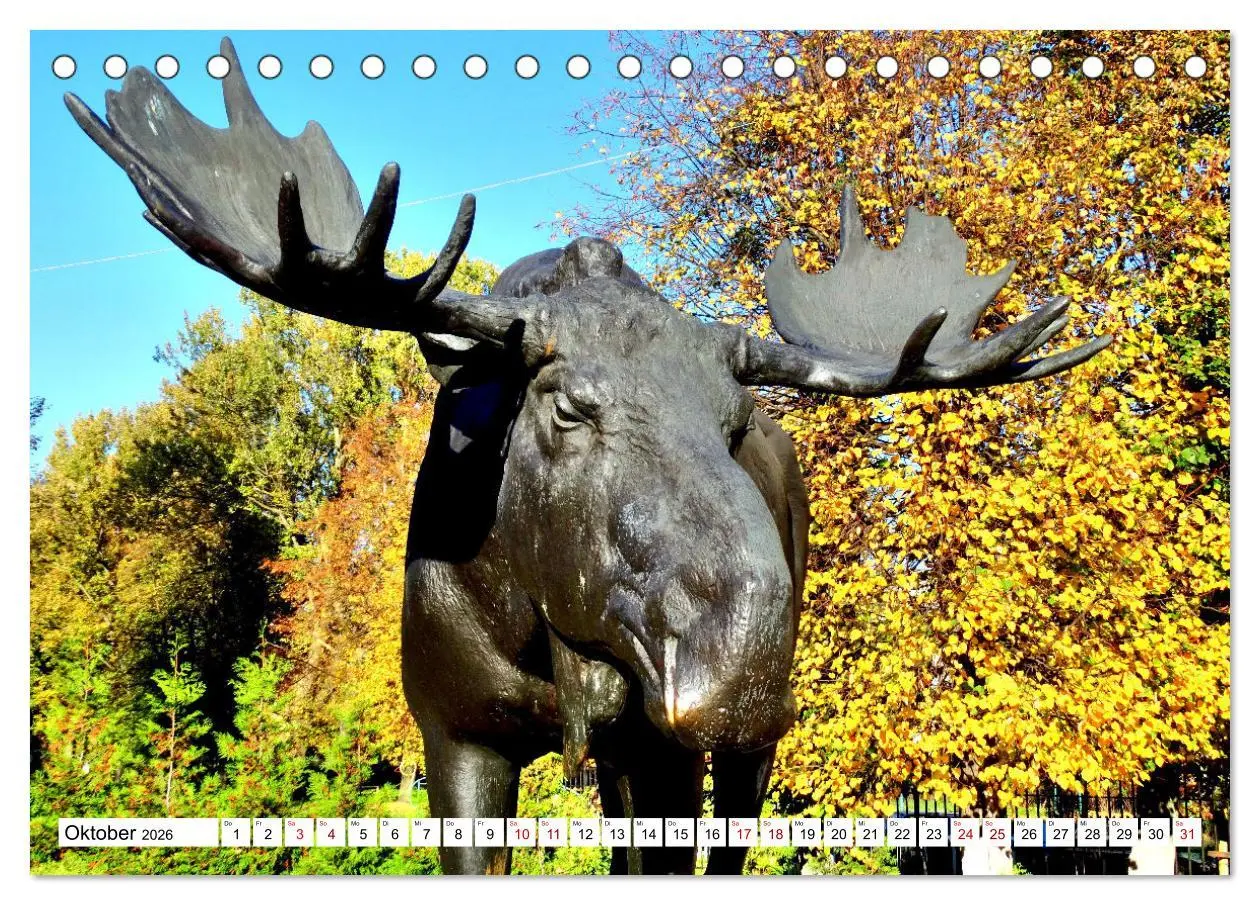 Bild: 9783457623305 | Ostpreußens Elche (Tischkalender 2026 DIN A5 quer), CALVENDO...