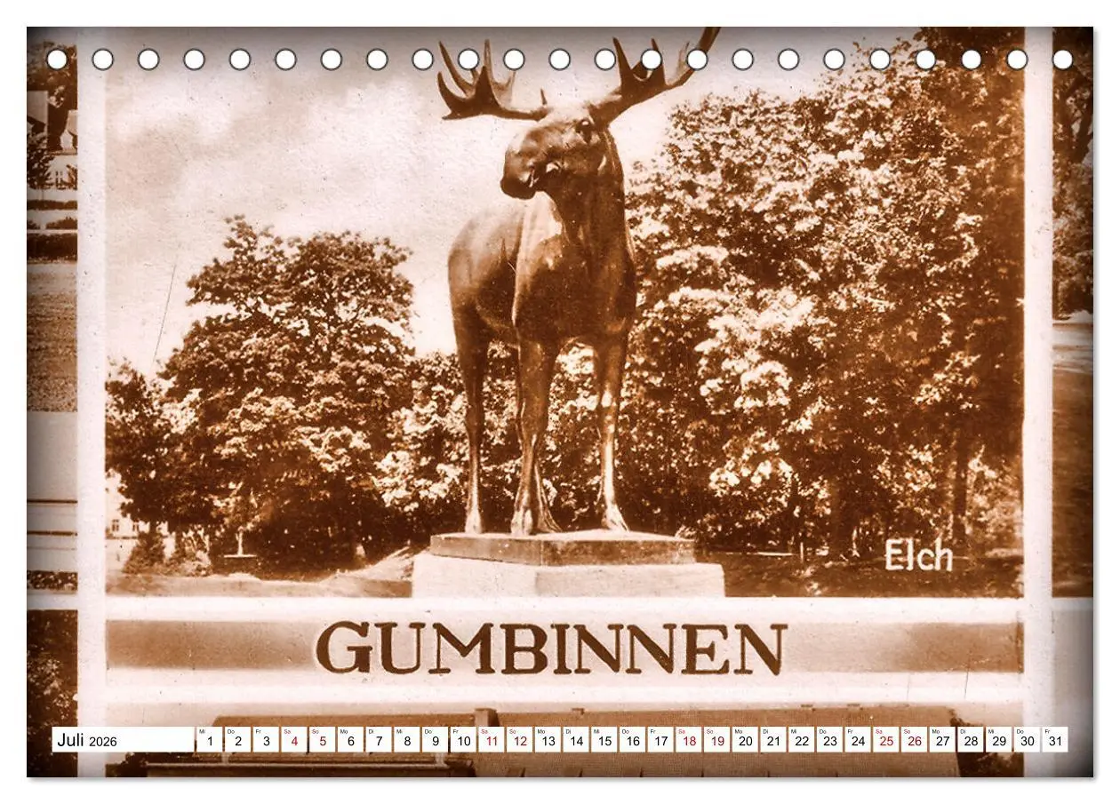 Bild: 9783457623305 | Ostpreußens Elche (Tischkalender 2026 DIN A5 quer), CALVENDO...